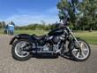 2022 Harley-Davidson Softail Standard (FXST)