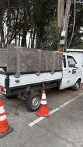 Electric Cargo Van