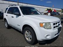 2009 FORD Escape