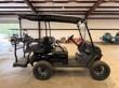2025 E-Z-GO Express 4 Lifted EFI Gas