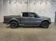 2013 Ford F-150 FX4 4WD