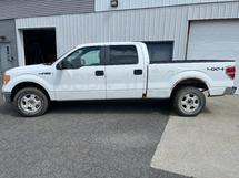 2010 Ford F-150 4WD CREW CAB 4 DR
