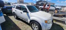 2010 Ford Escape Hybrid