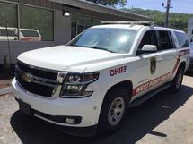 2015 CHEVROLET 1500SUBURB
