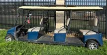 2017 Cruise Golf Cart