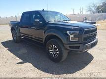 2019 FORD F150RAPTOR
