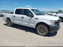 2019 FORD F150SSV