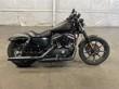 2021 Harley-Davidson Sportster Iron 883 (XL883N)