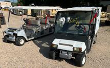 Motorized Carts