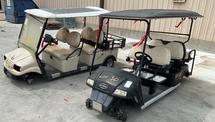 Motorized Carts