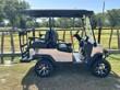 2026 Denago EV Nomad XL 51.2V Lithium