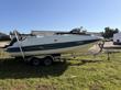 2015 Bayliner 210 Deck Boat
